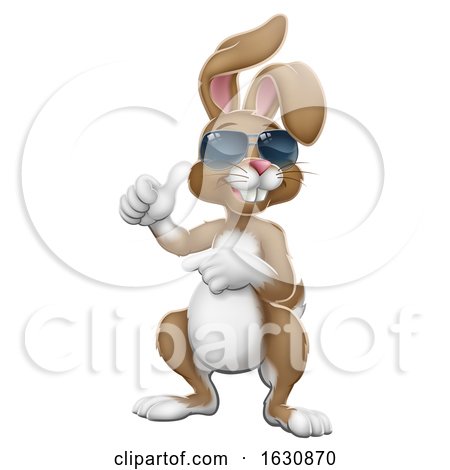 Easter Bunny Shades Rabbit Thumbs up and Pointing by AtStockIllustration