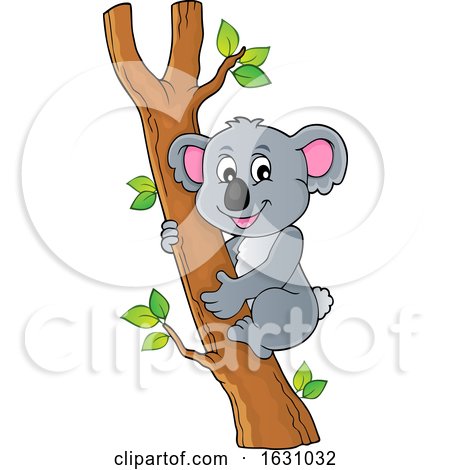 Koala in a Tree by visekart
