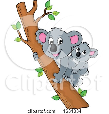Koalas in a Tree by visekart