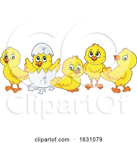 Yellow Chicks by visekart