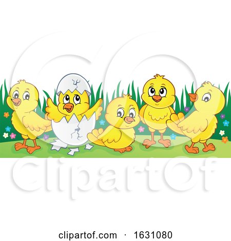 Yellow Chicks by visekart