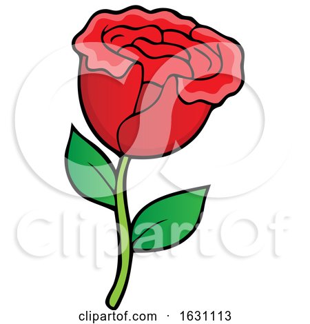 Red Rose by visekart