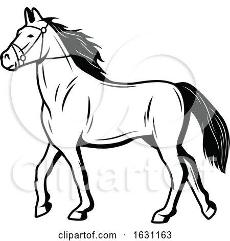 Black and White Horse by Vector Tradition SM