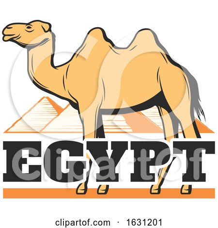 Camel and Egyptian Pyramids by Vector Tradition SM