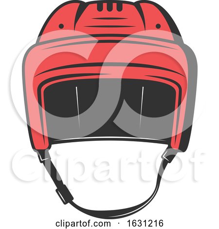 Hockey Helmet by Vector Tradition SM