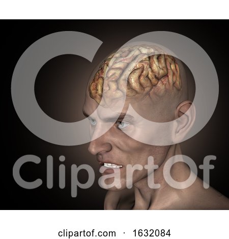 3D Old Man with Diseased Brain by KJ Pargeter