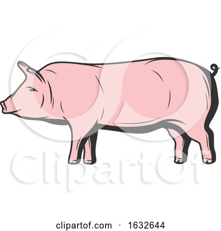 Retro Pig by Vector Tradition SM