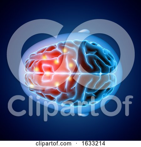 3D Medical Image Showing Top View of a Brain with Parts Highlighted by KJ Pargeter