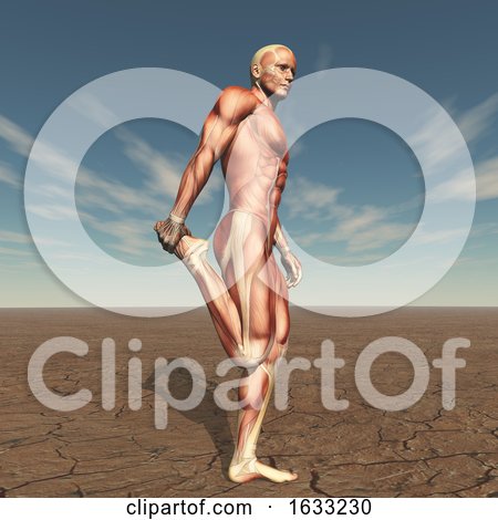 3D Male Figure with Muscle Map in Barren Landscape by KJ Pargeter