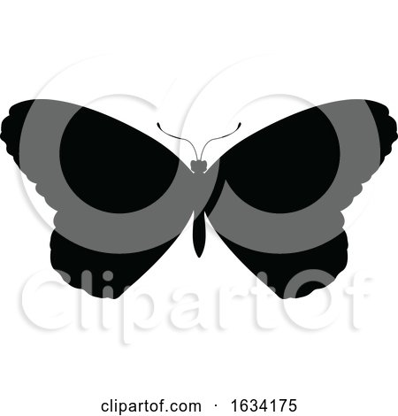 Butterfly Insect Animal Silhouette by AtStockIllustration