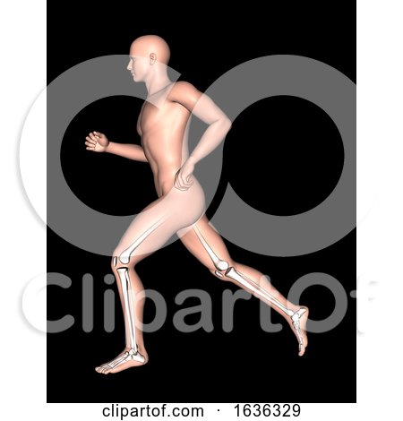 3D Running Male with Leg and Feet Bones Highlighted by KJ Pargeter