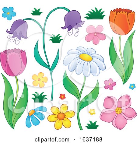 Spring Flowers by visekart