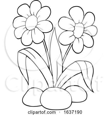 daisy flower clip art black white
