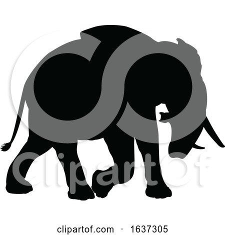 Elephant Safari Animal Silhouette by AtStockIllustration
