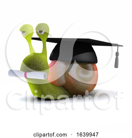 3d Graduate Snail by Steve Young