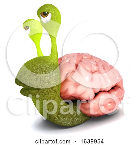 3d Funny Cartoon Snail Character Carrying a Brain Instead of a Shell by Steve Young