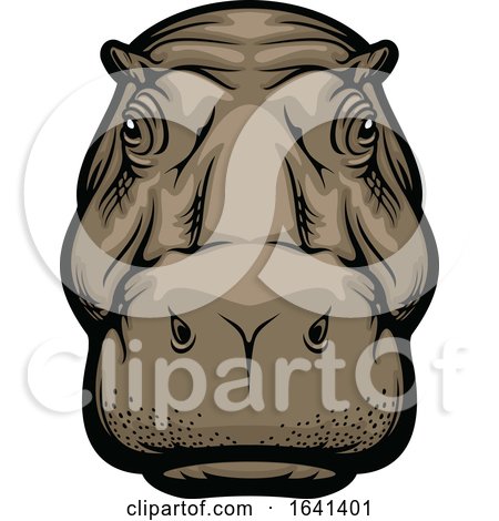 Hippo Face by Vector Tradition SM