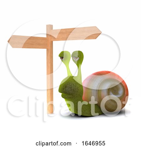 3d Crossroads Snail by Steve Young
