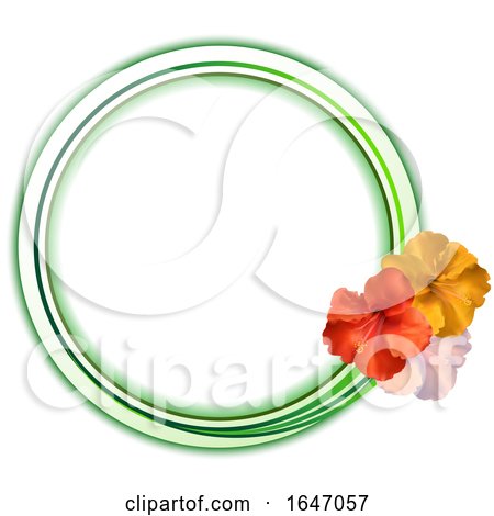 Copy Space Green and White Circular Border with Trio of Hibiscus by elaineitalia