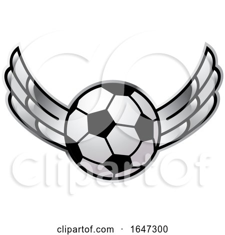 Winged Soccer Ball by Lal Perera