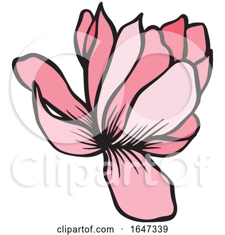 Pink Flower by Cherie Reve