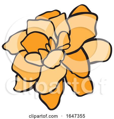 Orange Flower by Cherie Reve