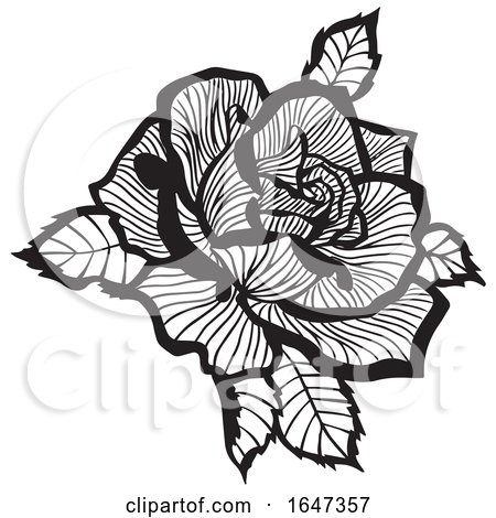 Black and White Rose by Cherie Reve