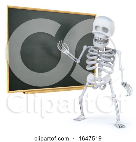 3d Skeleton Teaching at the Blackboard by Steve Young