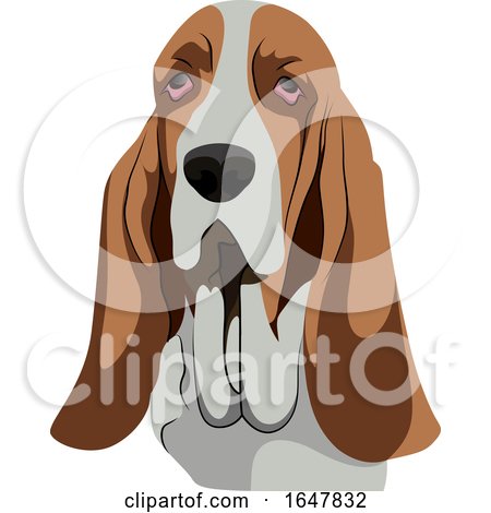 Basset Hound Dog Face by Morphart Creations