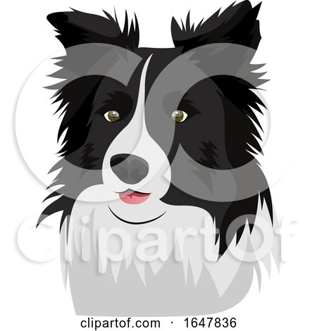 Border Collie Dog Face by Morphart Creations