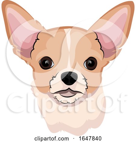 Chihuahua Dog Face by Morphart Creations