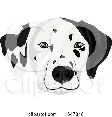 Dalmatian Dog Face by Morphart Creations