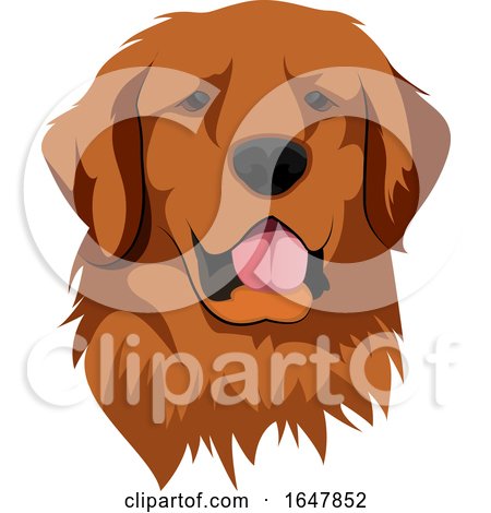 Golden Retriever Dog Face by Morphart Creations