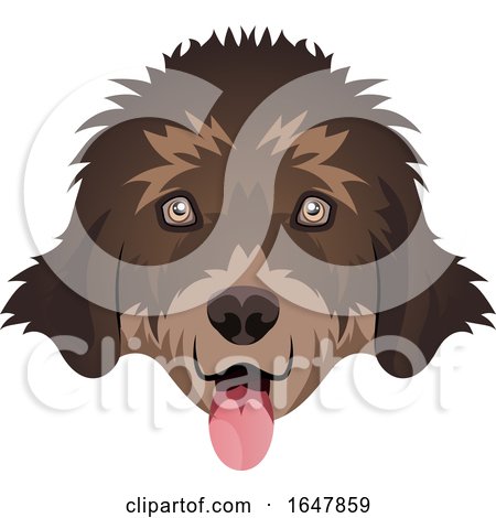Newfoundland Dog Face by Morphart Creations