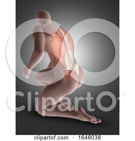 3D Male Figure Kneeling with Back Muscles Highlighted by KJ Pargeter