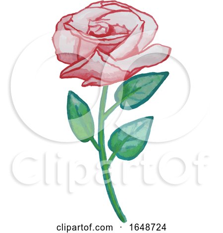 Watercolor Rose by dero