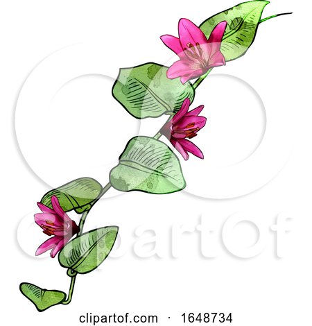 Watercolor Flower by dero