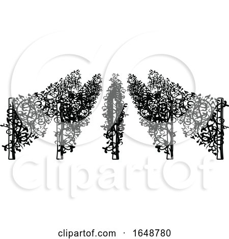 Black and White Grape Vines by Vector Tradition SM