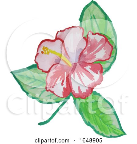 Watercolor Hibiscus Flower by dero