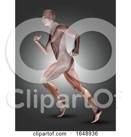 3D Male Figure in Running Pose with Leg Muscles Highlighted by KJ Pargeter