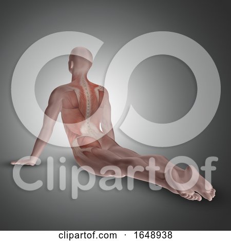 3D Male Figure in Yoga Pose with Back Muscles Highlighted by KJ Pargeter