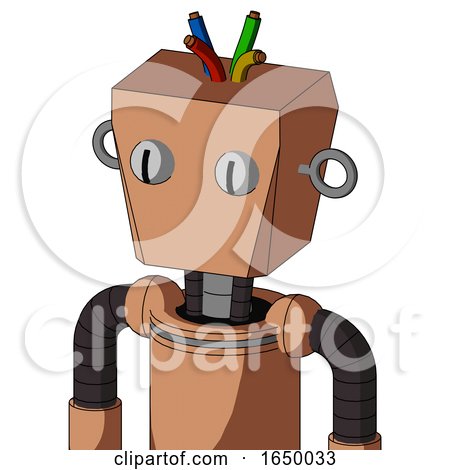 Peach Robot with Box Head and Two Eyes and Wire Hair by Leo Blanchette
