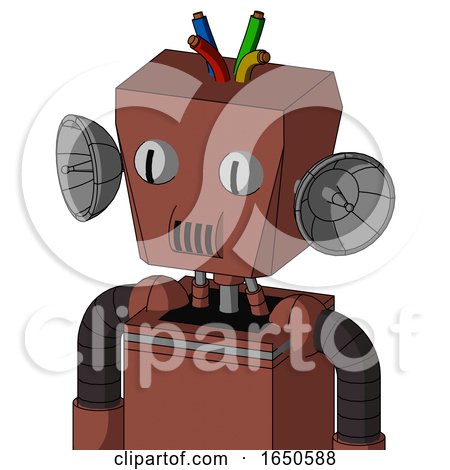 Brown Droid with Box Head and Speakers Mouth and Two Eyes and Wire Hair by Leo Blanchette