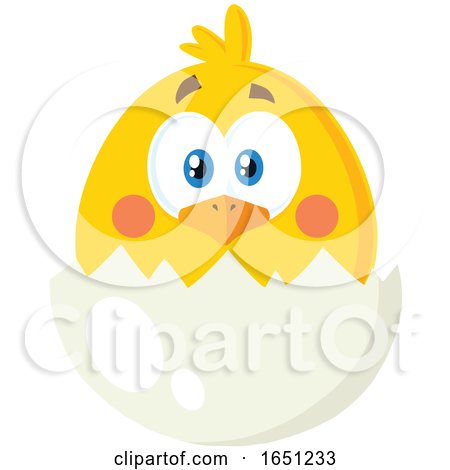 Hatching Chick in an Egg Shell by Hit Toon