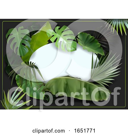 Frame with Tropical Foliage by dero