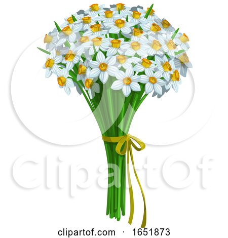 Daffodil Bouquet by Vector Tradition SM