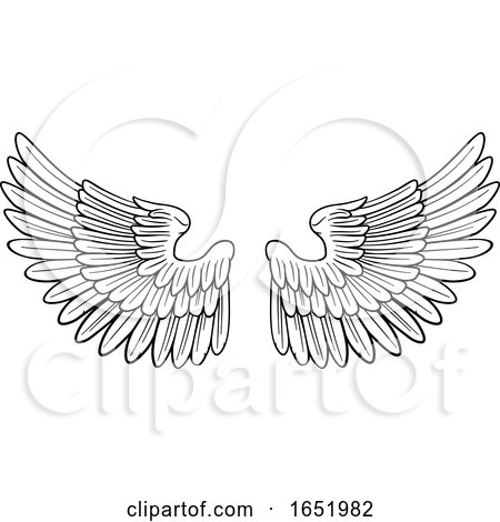 Wings Angel or Eagle Pair by AtStockIllustration