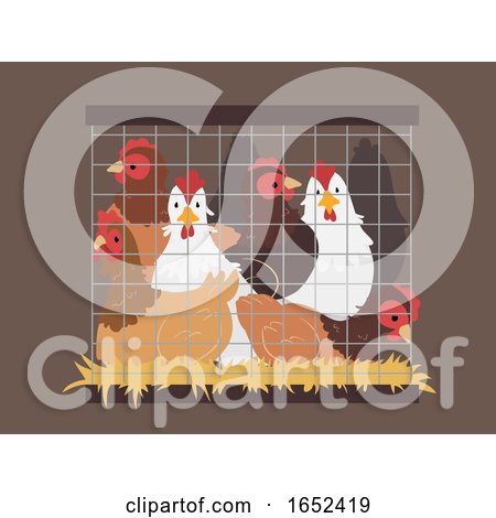 Chicken Crowded Cage Illustration by BNP Design Studio