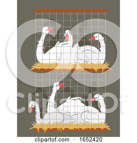 Geese Crowded Cage Illustration by BNP Design Studio