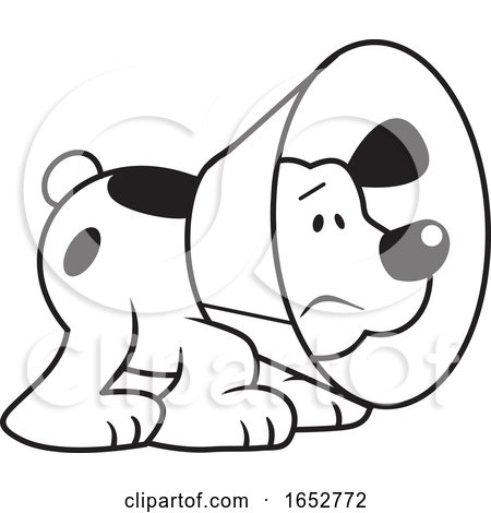 Cartoon Black and White Dog Wearing an E Collar by Johnny Sajem